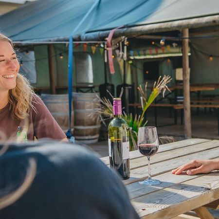 Family & Surfhostel Petten Εξωτερικό φωτογραφία